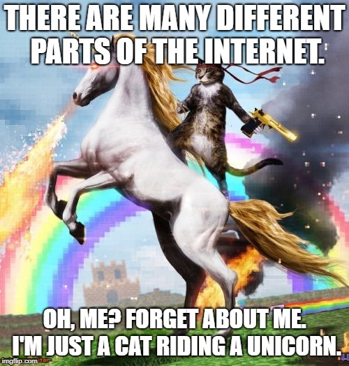 Welcome To The Internets Meme | THERE ARE MANY DIFFERENT PARTS OF THE INTERNET. OH, ME? FORGET ABOUT ME. I'M JUST A CAT RIDING A UNICORN. | image tagged in memes,welcome to the internets | made w/ Imgflip meme maker