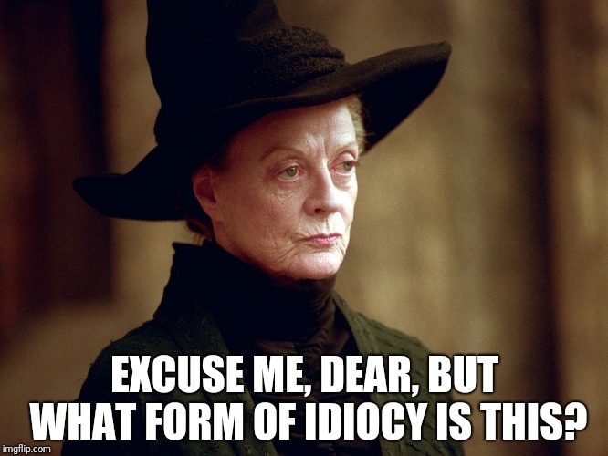 Unamused Mcgonagall | EXCUSE ME, DEAR, BUT WHAT FORM OF IDIOCY IS THIS? | image tagged in unamused mcgonagall | made w/ Imgflip meme maker