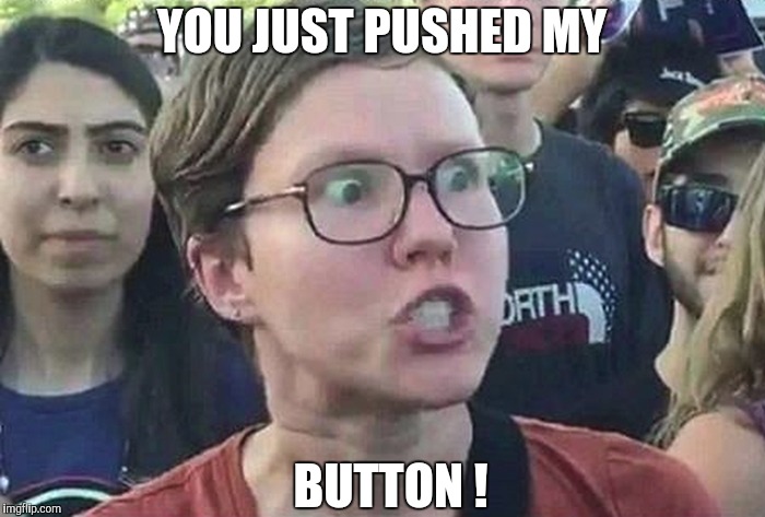 Triggered Liberal | YOU JUST PUSHED MY BUTTON ! | image tagged in triggered liberal | made w/ Imgflip meme maker