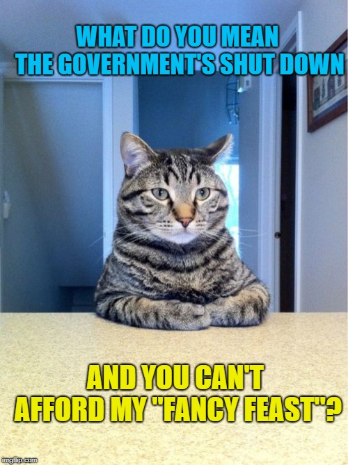Take A Seat Cat Meme | WHAT DO YOU MEAN THE GOVERNMENT'S SHUT DOWN; AND YOU CAN'T AFFORD MY "FANCY FEAST"? | image tagged in memes,take a seat cat | made w/ Imgflip meme maker