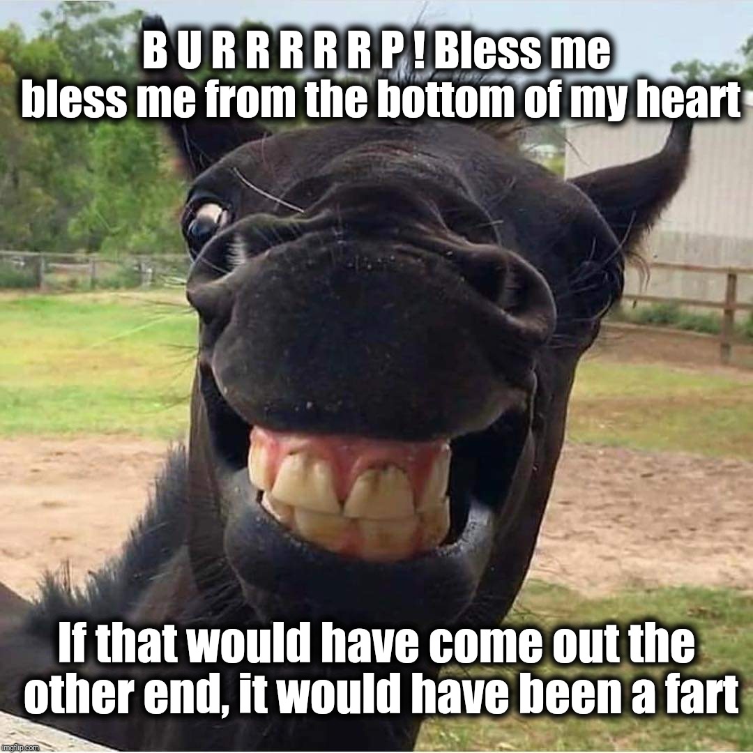 Burrrrrp! | B U R R R R R P !
Bless me bless me from the bottom of my heart; If that would have come out the other end, it would have been a fart | image tagged in burp,blessed,manners,funny animals,funny memes,justjeff | made w/ Imgflip meme maker