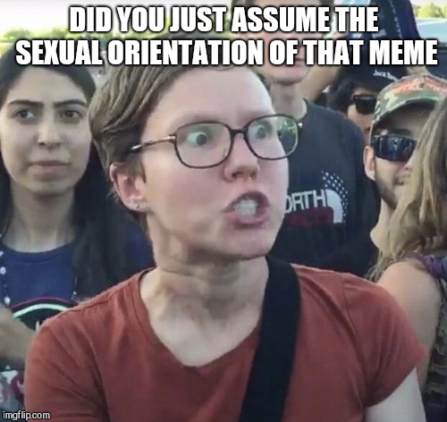Triggered feminist | DID YOU JUST ASSUME THE SEXUAL ORIENTATION OF THAT MEME | image tagged in triggered feminist | made w/ Imgflip meme maker