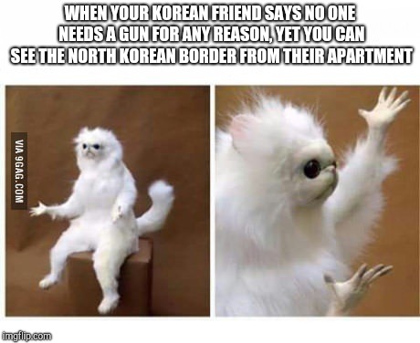strange wtf cat | WHEN YOUR KOREAN FRIEND SAYS NO ONE NEEDS A GUN FOR ANY REASON, YET YOU CAN SEE THE NORTH KOREAN BORDER FROM THEIR APARTMENT | image tagged in strange wtf cat | made w/ Imgflip meme maker