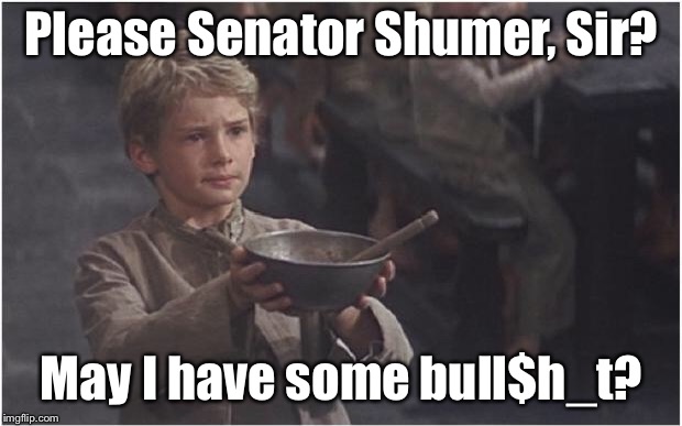 The American Public | Please Senator Shumer, Sir? May I have some bull$h_t? | image tagged in oliver twist please sir,senator shumer,partial shutdown,bull | made w/ Imgflip meme maker