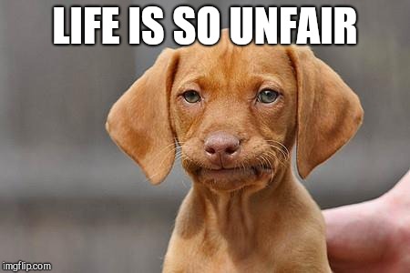 Dissapointed puppy | LIFE IS SO UNFAIR | image tagged in dissapointed puppy | made w/ Imgflip meme maker