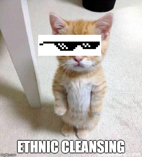 Cute Cat Meme | ETHNIC CLEANSING | image tagged in memes,cute cat | made w/ Imgflip meme maker