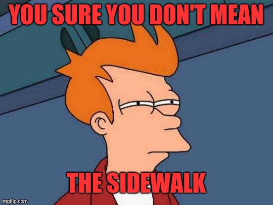 Futurama Fry Meme | YOU SURE YOU DON'T MEAN THE SIDEWALK | image tagged in memes,futurama fry | made w/ Imgflip meme maker