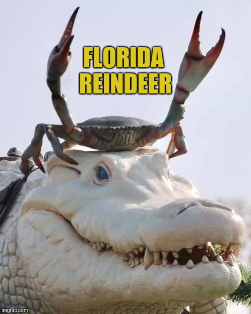 Cajun Reindeer | FLORIDA REINDEER | image tagged in cajun reindeer | made w/ Imgflip meme maker