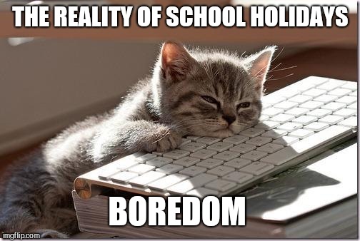 Bored Keyboard Cat | THE REALITY OF SCHOOL HOLIDAYS BOREDOM | image tagged in bored keyboard cat | made w/ Imgflip meme maker