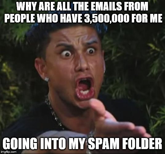 DJ Pauly D Meme | WHY ARE ALL THE EMAILS FROM PEOPLE WHO HAVE 3,500,000 FOR ME; GOING INTO MY SPAM FOLDER | image tagged in memes,dj pauly d,email | made w/ Imgflip meme maker