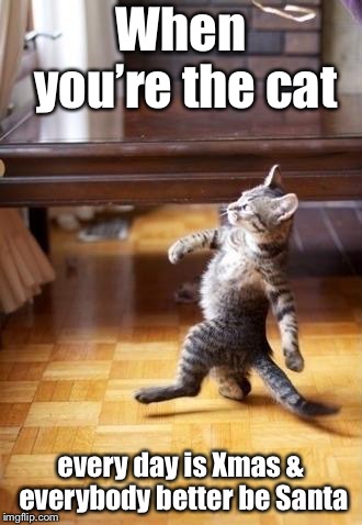 Cool Cat Stroll Meme | When you’re the cat; every day is Xmas & everybody better be Santa | image tagged in memes,cool cat stroll,christmas,santa,self-centered,funny cat memes | made w/ Imgflip meme maker