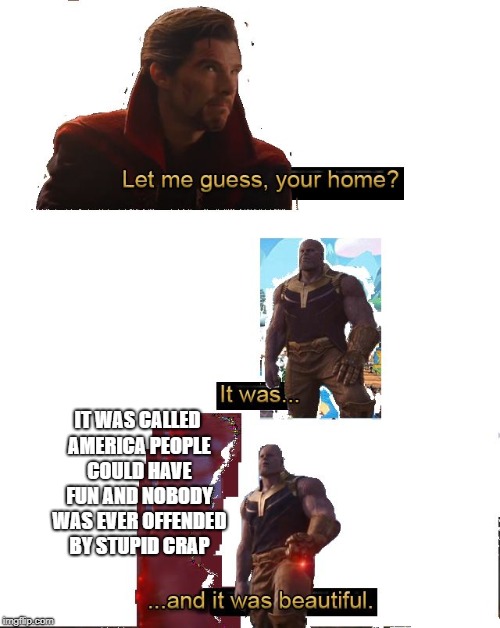 Let me Guess Your Home | IT WAS CALLED AMERICA PEOPLE COULD HAVE FUN AND NOBODY WAS EVER OFFENDED BY STUPID CRAP | image tagged in let me guess your home | made w/ Imgflip meme maker
