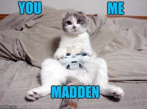 Then I'll drop some "X's" in the box | ME; YOU; MADDEN | image tagged in cat,xbox | made w/ Imgflip meme maker