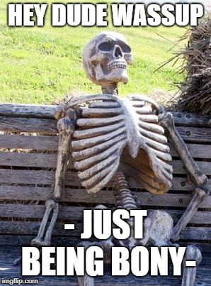 Waiting Skeleton Meme | HEY DUDE WASSUP; - JUST BEING BONY- | image tagged in memes,waiting skeleton | made w/ Imgflip meme maker