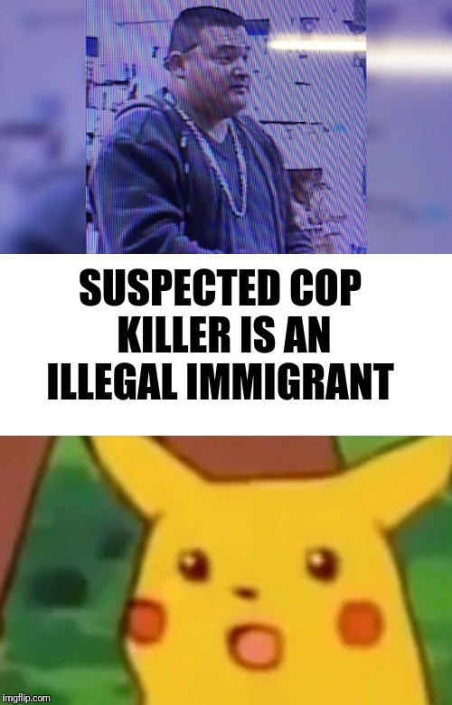 SUSPECTED COP KILLER IS AN ILLEGAL IMMIGRANT | image tagged in memes,surprised pikachu | made w/ Imgflip meme maker