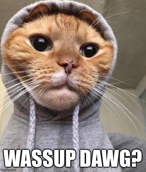WASSUP DAWG? | made w/ Imgflip meme maker