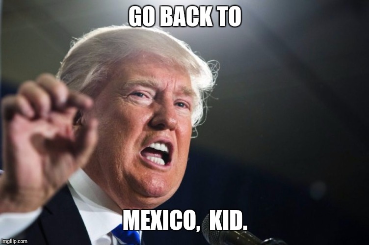 donald trump | GO BACK TO MEXICO,  KID. | image tagged in donald trump | made w/ Imgflip meme maker
