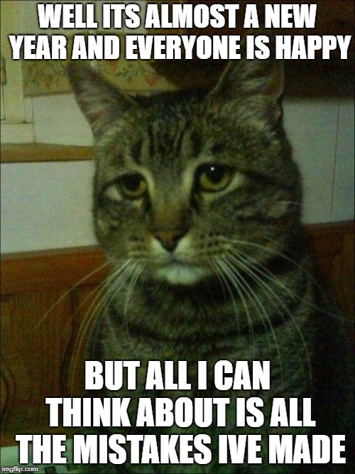 Depressed Cat Meme | WELL ITS ALMOST A NEW YEAR AND EVERYONE IS HAPPY; BUT ALL I CAN THINK ABOUT IS ALL THE MISTAKES IVE MADE | image tagged in memes,depressed cat | made w/ Imgflip meme maker