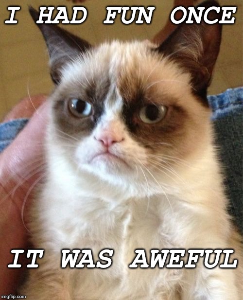 Grumpy Cat Meme | I HAD FUN ONCE; IT WAS AWEFUL | image tagged in memes,grumpy cat | made w/ Imgflip meme maker