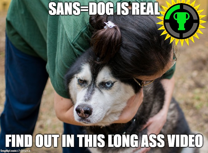 dog is sans | SANS=DOG IS REAL; FIND OUT IN THIS LONG ASS VIDEO | image tagged in really human,sans dog,crack at gt | made w/ Imgflip meme maker