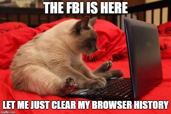 keyboard kittie cst  |  THE FBI IS HERE; LET ME JUST CLEAR MY BROWSER HISTORY | image tagged in keyboard kittie cst | made w/ Imgflip meme maker