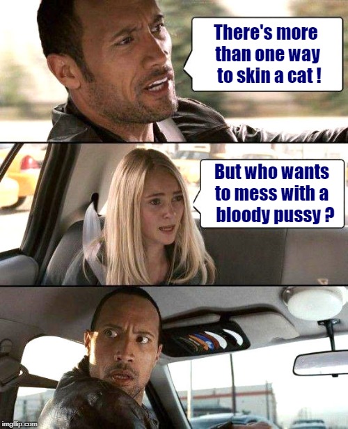 And Now You Know How to Respond! | There's more than one way  to skin a cat ! But who wants to mess with a     bloody pussy ? | image tagged in the rock driving - brighter,nsfw,oh no you didn't,funny memes | made w/ Imgflip meme maker