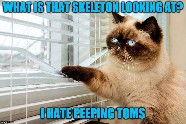 WHAT IS THAT SKELETON LOOKING AT? I HATE PEEPING TOMS | made w/ Imgflip meme maker