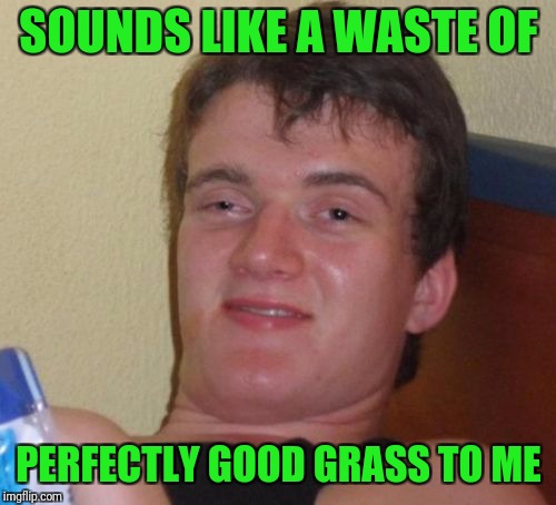10 Guy Meme | SOUNDS LIKE A WASTE OF PERFECTLY GOOD GRASS TO ME | image tagged in memes,10 guy | made w/ Imgflip meme maker