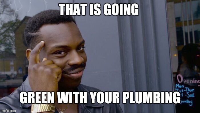 Roll Safe Think About It Meme | THAT IS GOING GREEN WITH YOUR PLUMBING | image tagged in memes,roll safe think about it | made w/ Imgflip meme maker