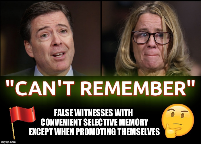 Comey and Ford - Selective Memory | FALSE WITNESSES WITH CONVENIENT SELECTIVE MEMORY EXCEPT WHEN PROMOTING THEMSELVES | image tagged in comey and ford - selective memory | made w/ Imgflip meme maker