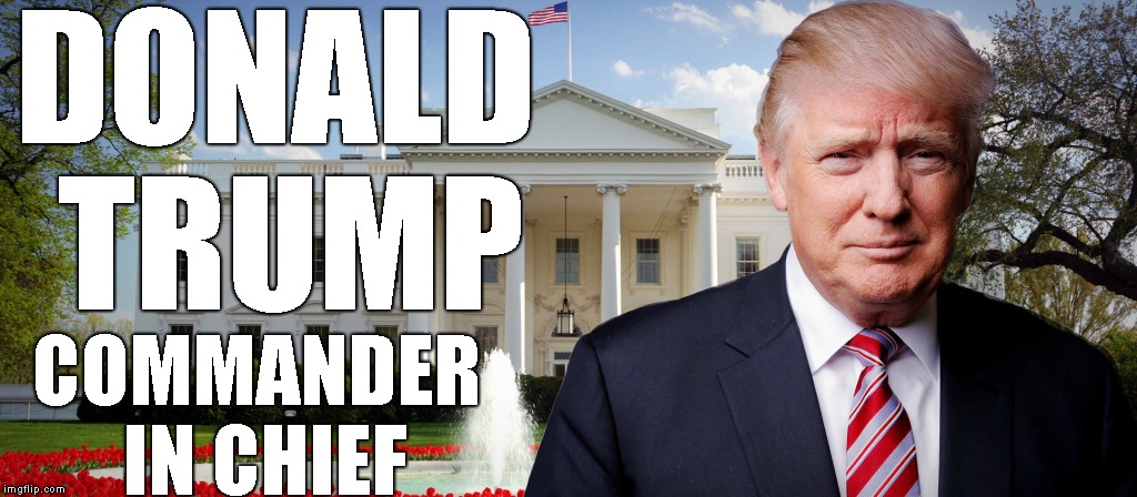 Trump's In The White House | DONALD TRUMP COMMANDER IN CHIEF | image tagged in trump's in the white house | made w/ Imgflip meme maker