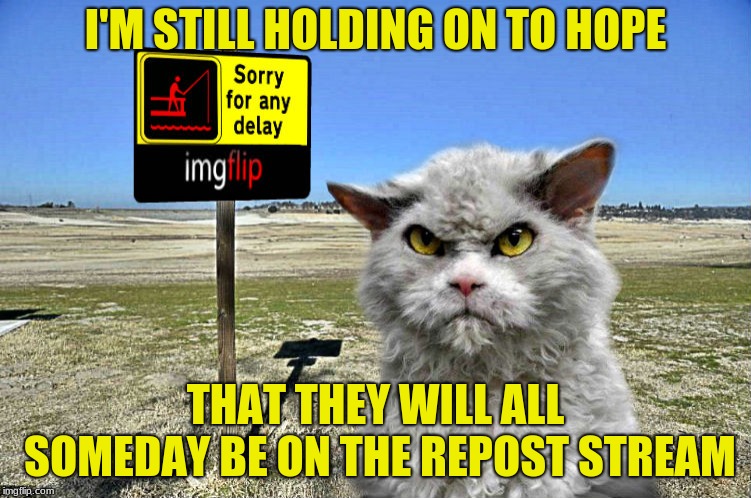 imgflip sorry with pompous cat | I'M STILL HOLDING ON TO HOPE THAT THEY WILL ALL SOMEDAY BE ON THE REPOST STREAM | image tagged in imgflip sorry with pompous cat | made w/ Imgflip meme maker