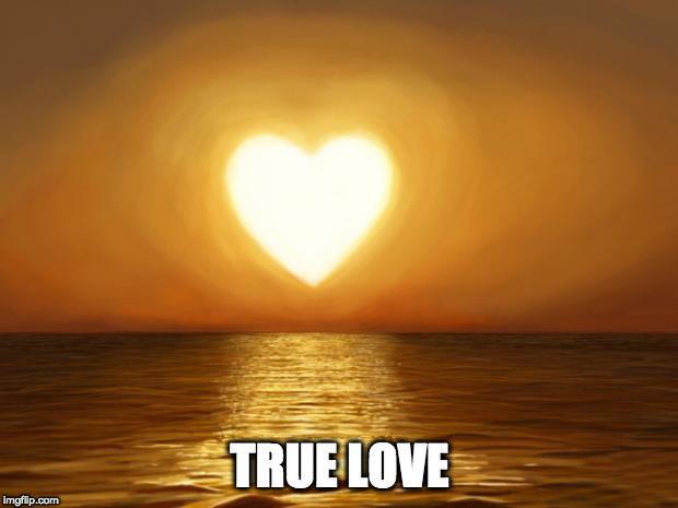 Love | TRUE LOVE | image tagged in love | made w/ Imgflip meme maker