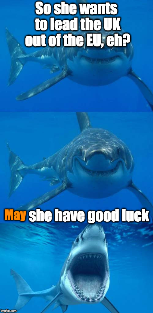 Bad Shark Pun  | So she wants to lead the UK out of the EU, eh? May she have good luck | image tagged in bad shark pun | made w/ Imgflip meme maker