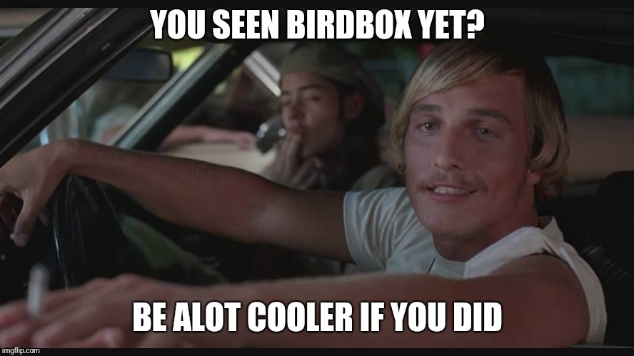 Be alot cooler if you did.. | YOU SEEN BIRDBOX YET? BE ALOT COOLER IF YOU DID | image tagged in be alot cooler if you did | made w/ Imgflip meme maker
