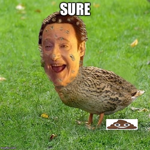 The Data Ducky | SURE | image tagged in the data ducky | made w/ Imgflip meme maker