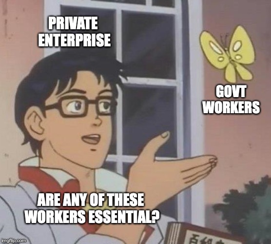 Government Workers On Furlough | PRIVATE ENTERPRISE; GOVT WORKERS; ARE ANY OF THESE WORKERS ESSENTIAL? | image tagged in memes,is this a pigeon,government shutdown | made w/ Imgflip meme maker