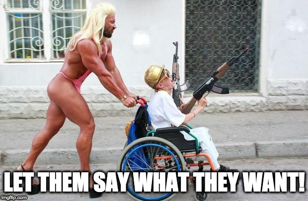 Weird Wheelchair | LET THEM SAY WHAT THEY WANT! | image tagged in weird wheelchair | made w/ Imgflip meme maker