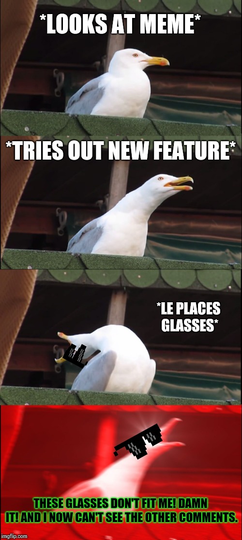 Inhaling Seagull Meme | *LOOKS AT MEME* *TRIES OUT NEW FEATURE* *LE PLACES GLASSES* THESE GLASSES DON'T FIT ME! DAMN IT! AND I NOW CAN'T SEE THE OTHER COMMENTS. | image tagged in memes,inhaling seagull | made w/ Imgflip meme maker