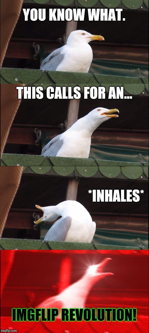Inhaling Seagull Meme | YOU KNOW WHAT. THIS CALLS FOR AN... *INHALES* IMGFLIP REVOLUTION! | image tagged in memes,inhaling seagull | made w/ Imgflip meme maker