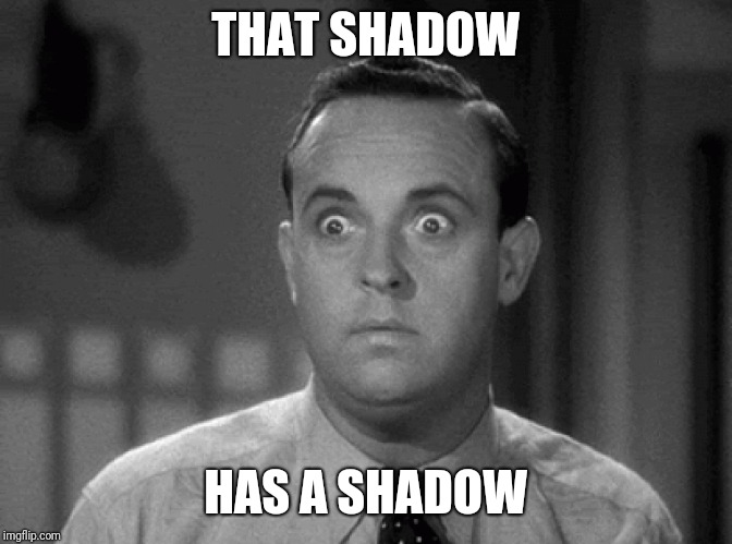 shocked face | THAT SHADOW HAS A SHADOW | image tagged in shocked face | made w/ Imgflip meme maker