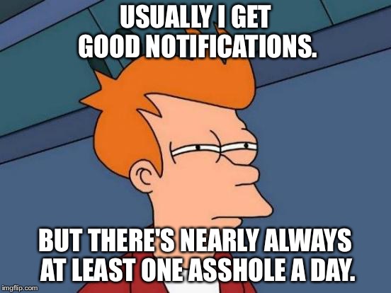There's always one. | USUALLY I GET GOOD NOTIFICATIONS. BUT THERE'S NEARLY ALWAYS AT LEAST ONE ASSHOLE A DAY. | image tagged in memes,futurama fry | made w/ Imgflip meme maker