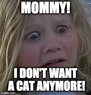 scared kid | MOMMY! I DON'T WANT A CAT ANYMORE! | image tagged in scared kid | made w/ Imgflip meme maker