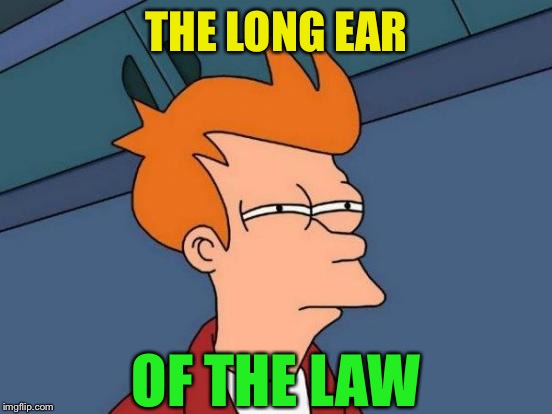 Futurama Fry Meme | THE LONG EAR OF THE LAW | image tagged in memes,futurama fry | made w/ Imgflip meme maker