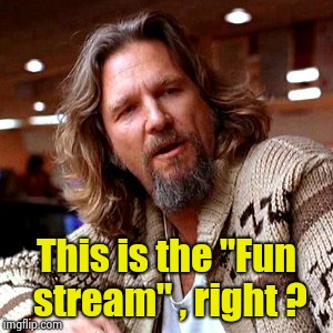Confused Lebowski Meme | This is the "Fun stream" , right ? | image tagged in memes,confused lebowski | made w/ Imgflip meme maker