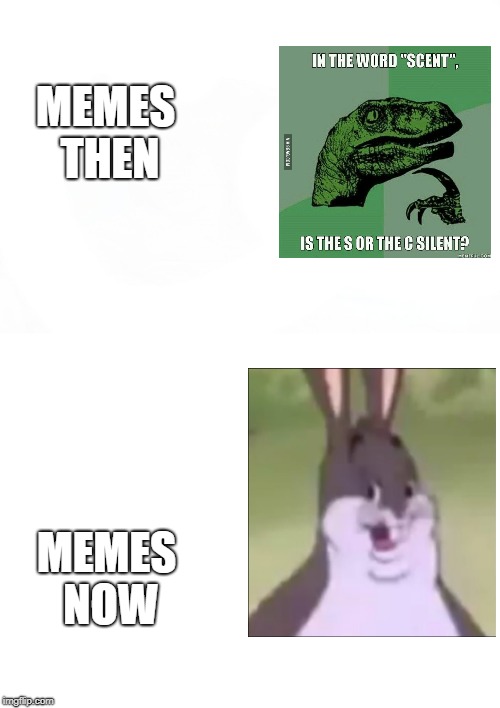 well i aint complaining  | MEMES THEN; MEMES NOW | image tagged in blank white template,white background,ssby,philosoraptor,big chungus | made w/ Imgflip meme maker