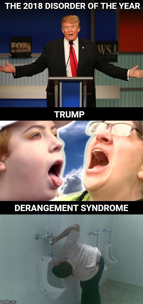 2018 The Year in Review.  Thanks to lunatic fringe liberal for the gift that keeps on giving. | image tagged in trump derangement syndrome,2018,syndrome | made w/ Imgflip meme maker
