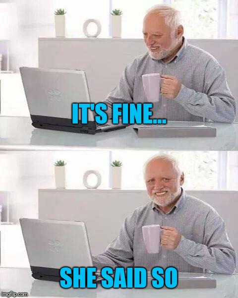 Hide the Pain Harold Meme | IT'S FINE... SHE SAID SO | image tagged in memes,hide the pain harold | made w/ Imgflip meme maker