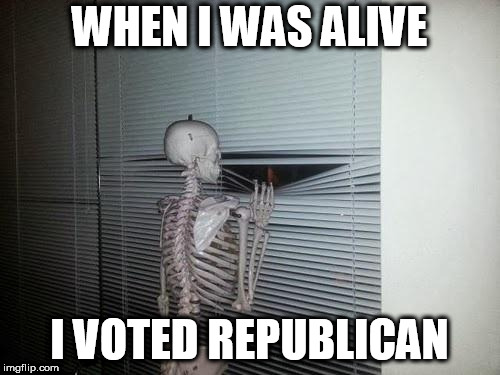 Skeleton Looking Out Window | WHEN I WAS ALIVE; I VOTED REPUBLICAN | image tagged in skeleton looking out window,voting,dead voters,voter fraud,liberals | made w/ Imgflip meme maker