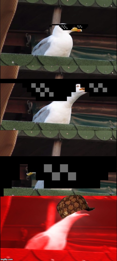 Inhaling Seagull | image tagged in memes,inhaling seagull | made w/ Imgflip meme maker